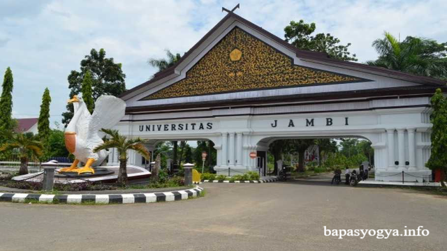 Daftar Jurusan Pendidikan Tinggi di Jambi